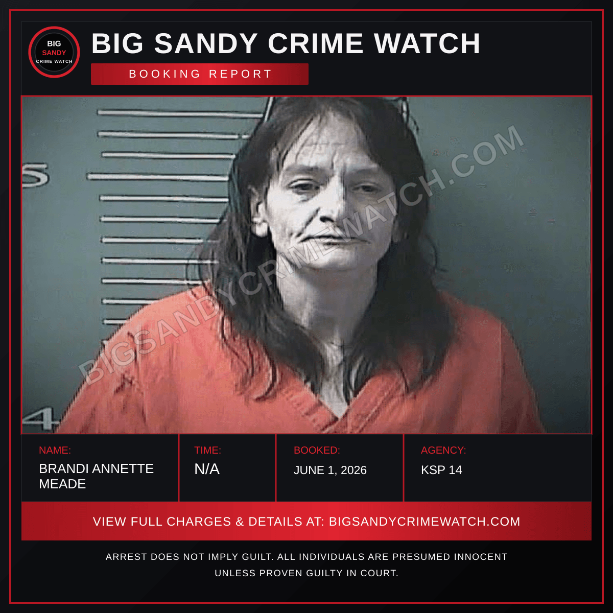 BRANDI ANNETTE MEADE booking report card