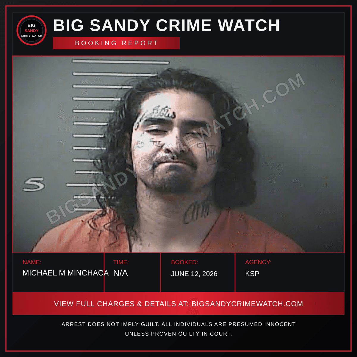 MICHAEL M MINCHACA booking report card