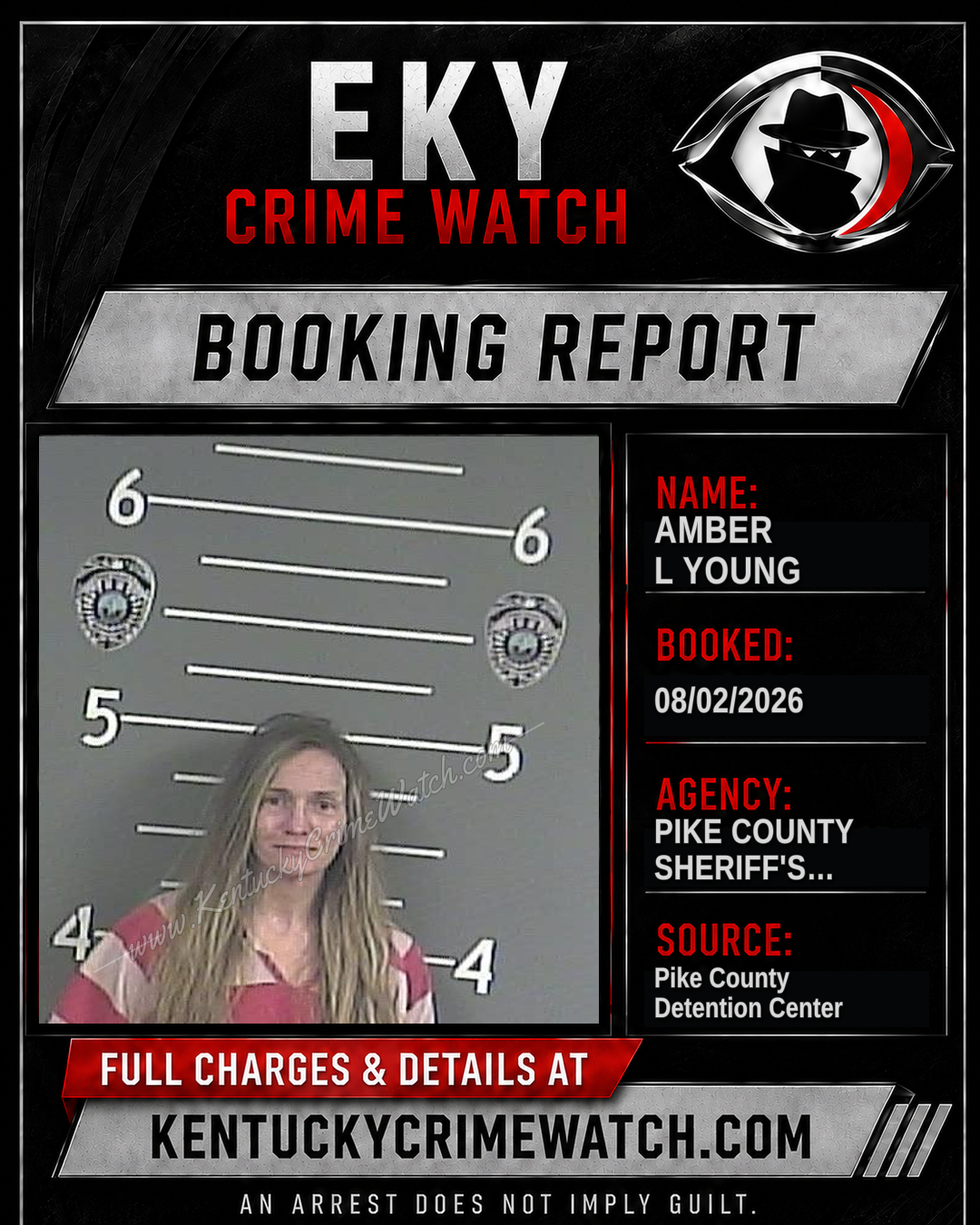 AMBER L YOUNG booking image