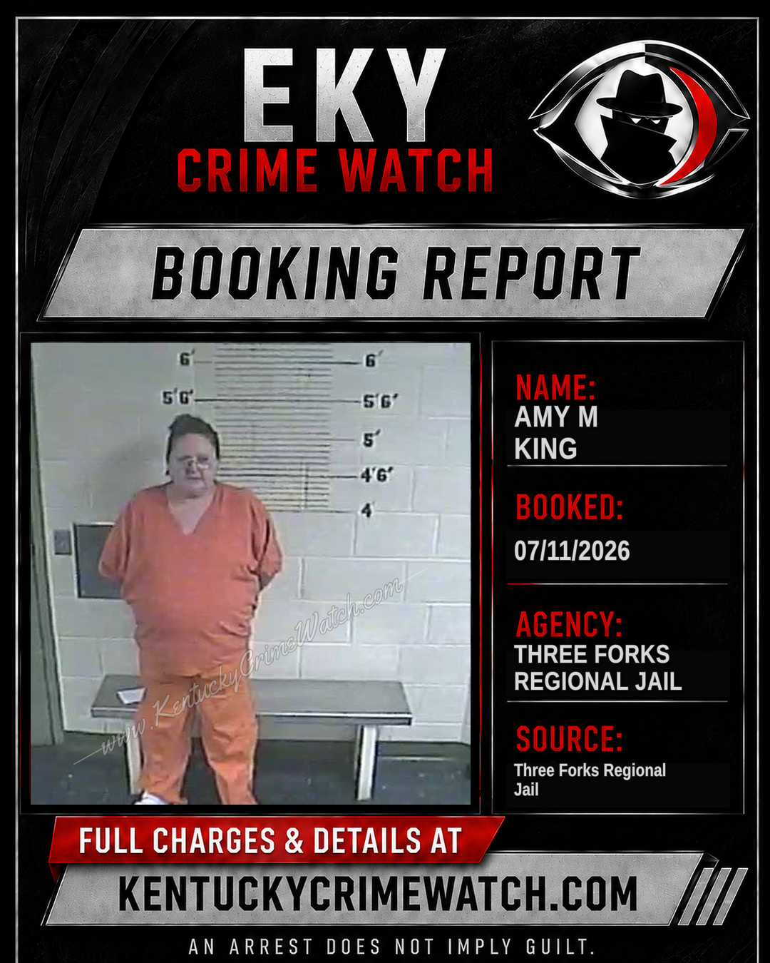 Amy M King booking image