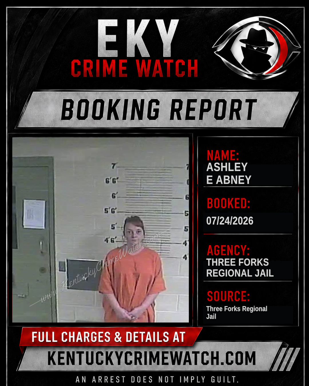Ashley E Abney booking image