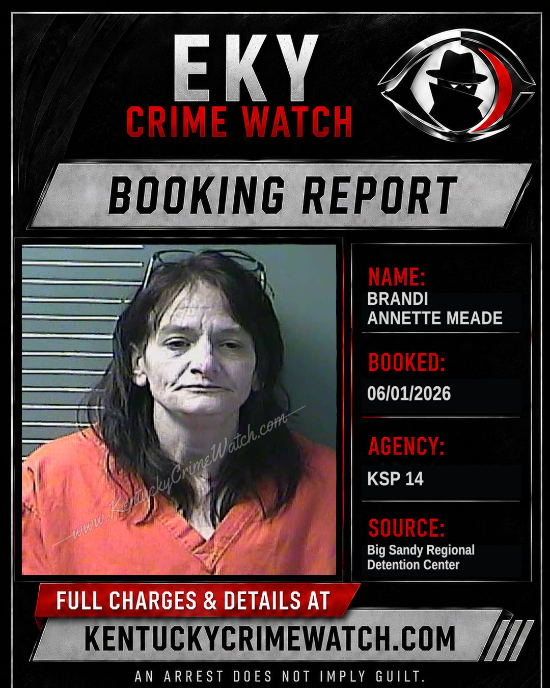 BRANDI ANNETTE MEADE booking report card