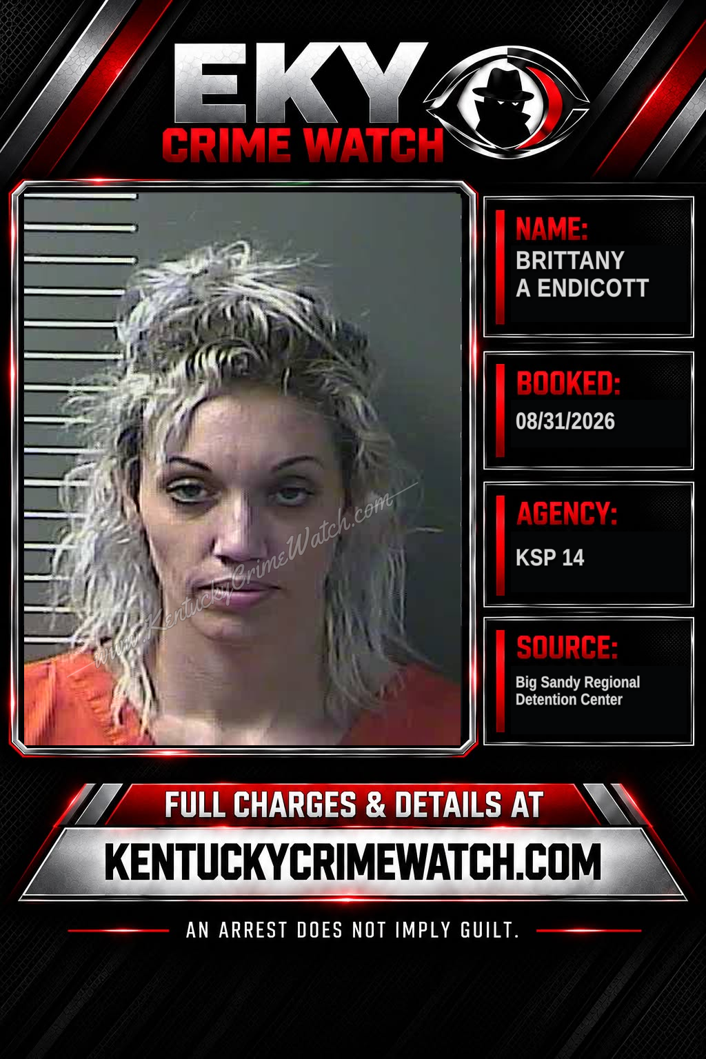 BRITTANY A ENDICOTT booking image