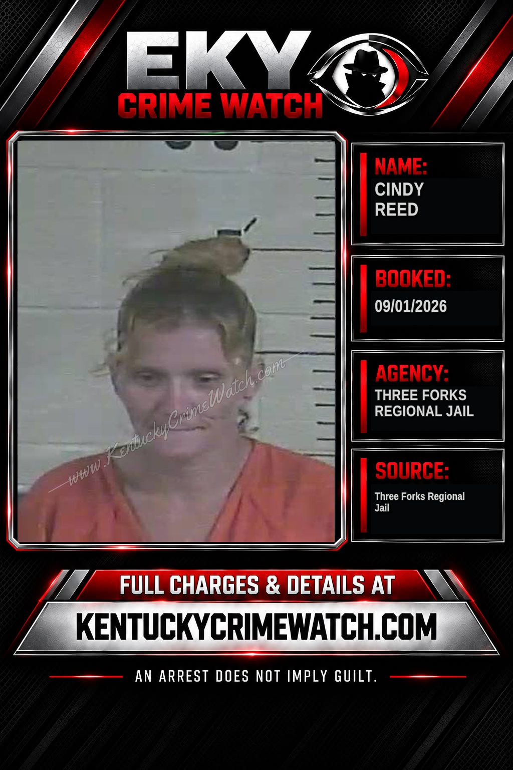 Cindy Reed booking image