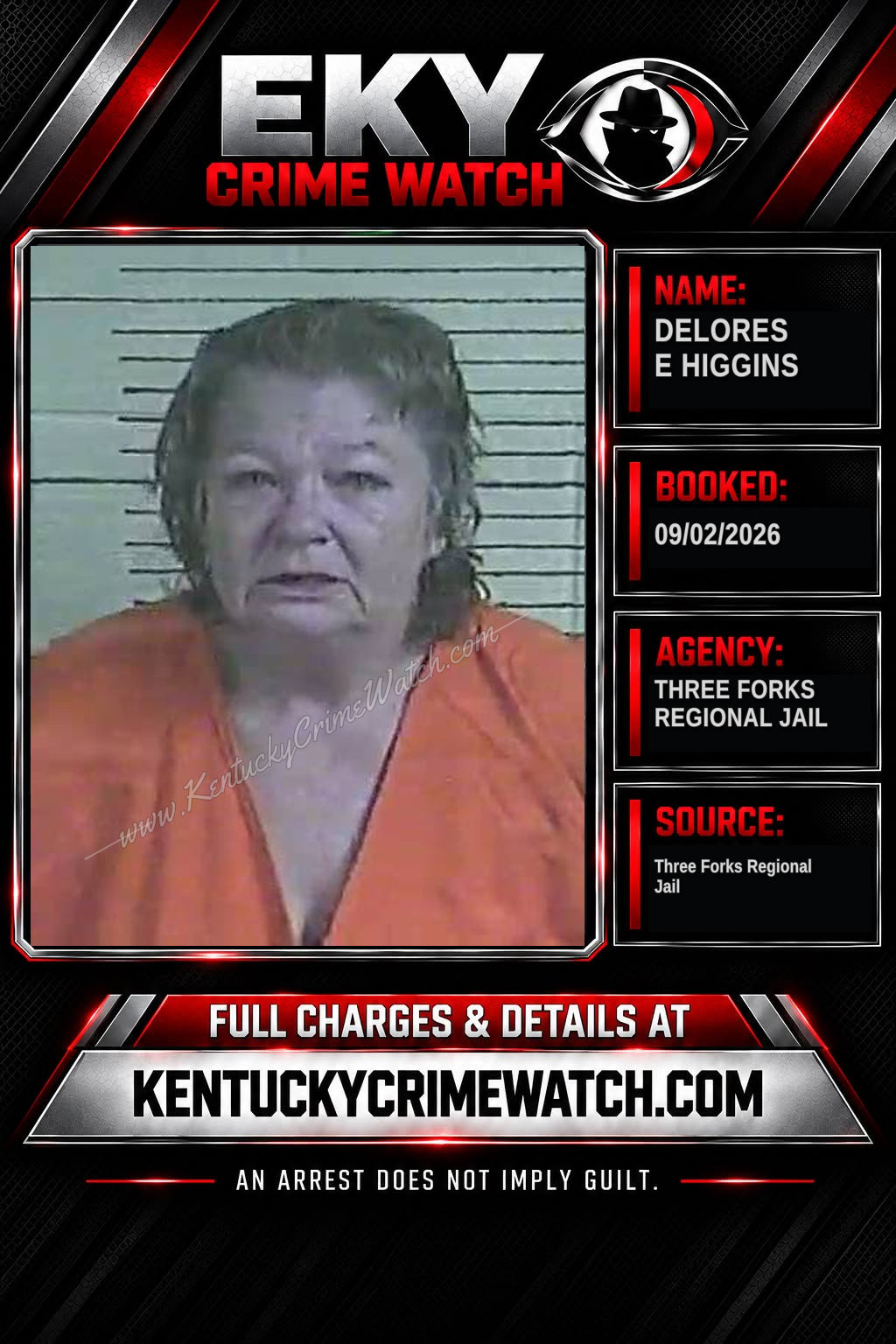 Delores E Higgins booking image