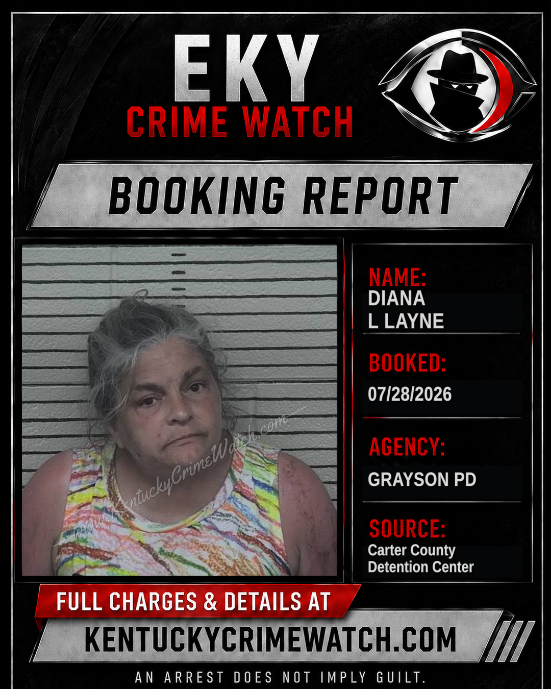 DIANA L LAYNE booking image