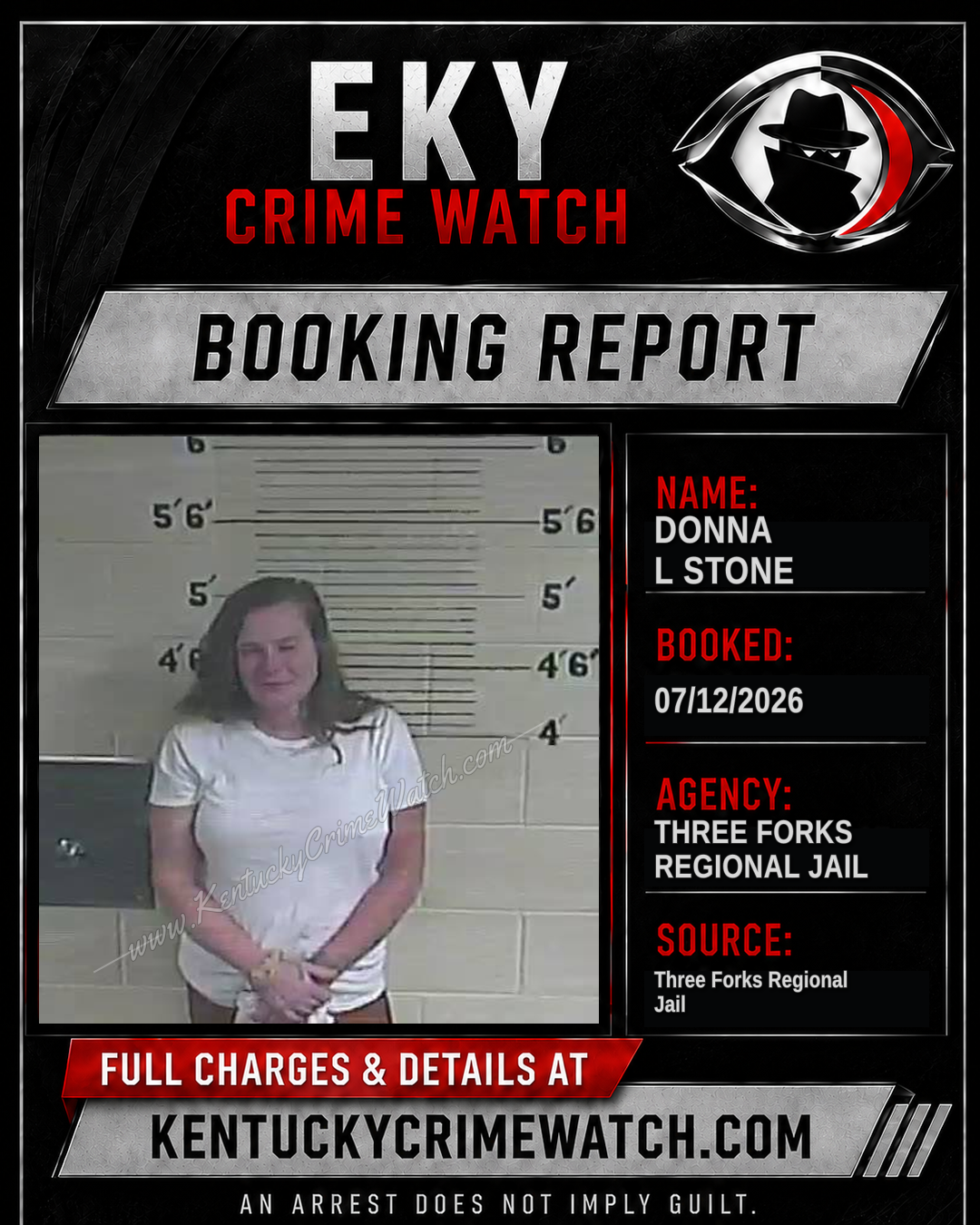 Donna L Stone booking image