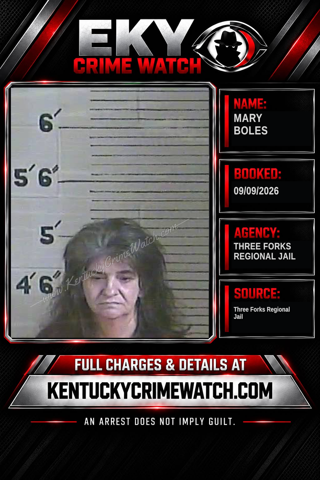 Mary Boles booking report card