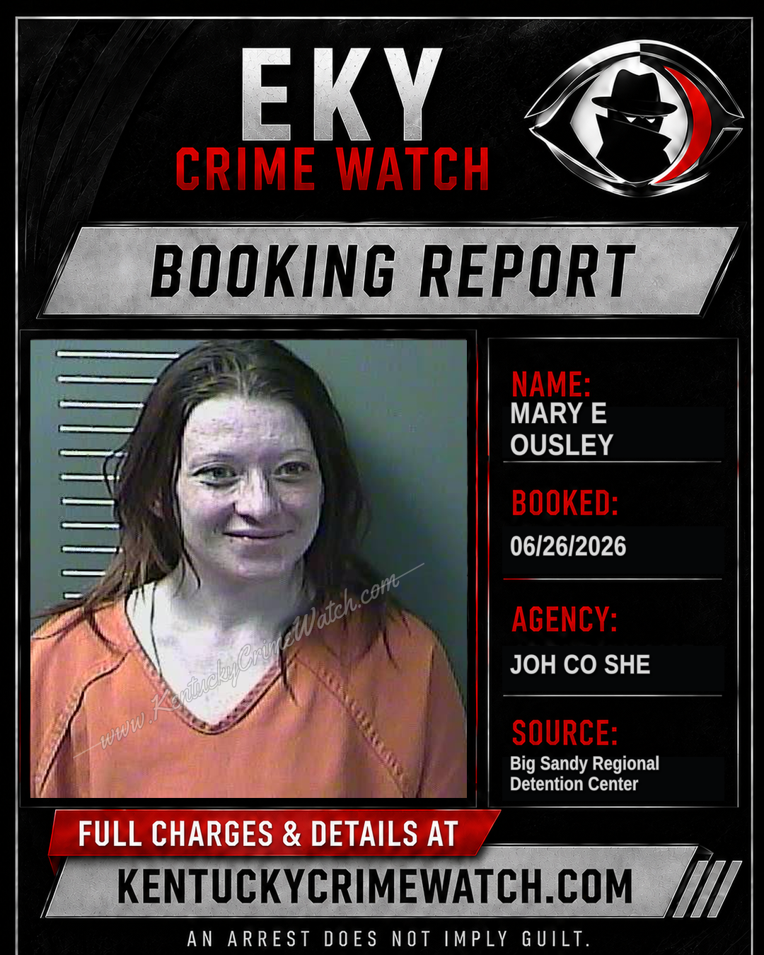 MARY E OUSLEY booking image