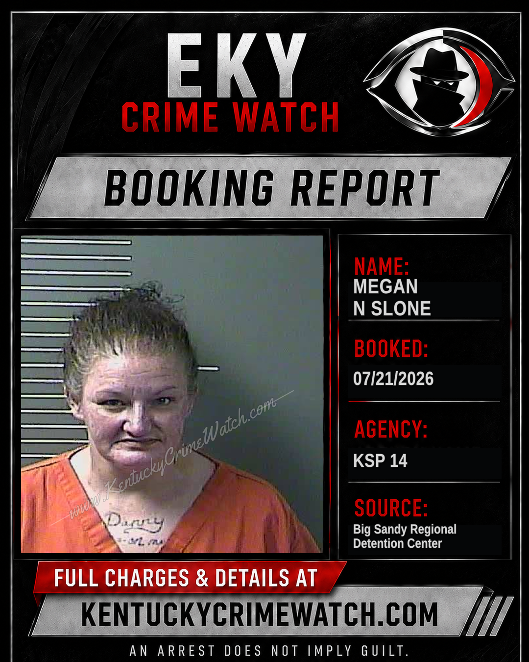 MEGAN N SLONE booking image