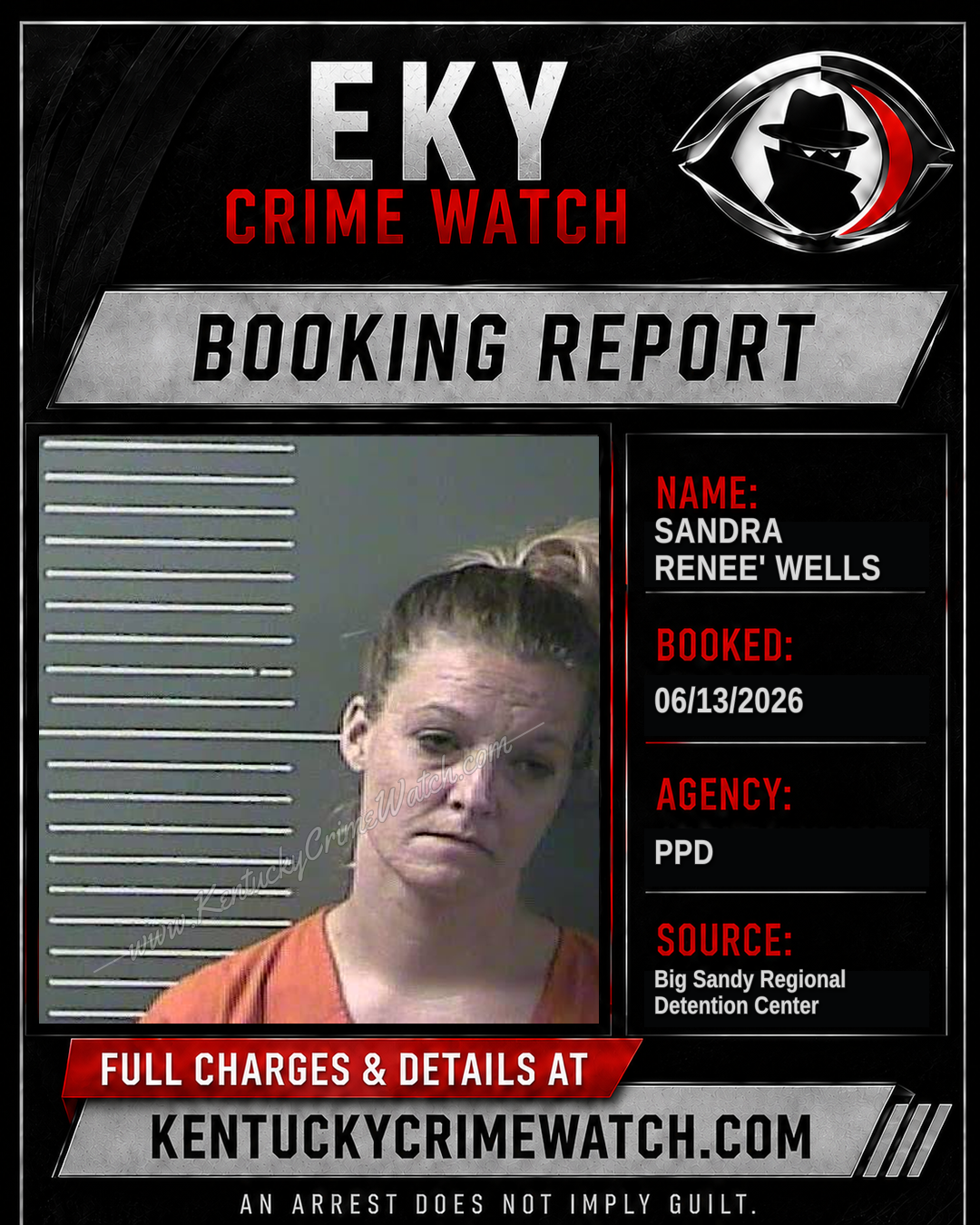 SANDRA RENEE' WELLS booking image
