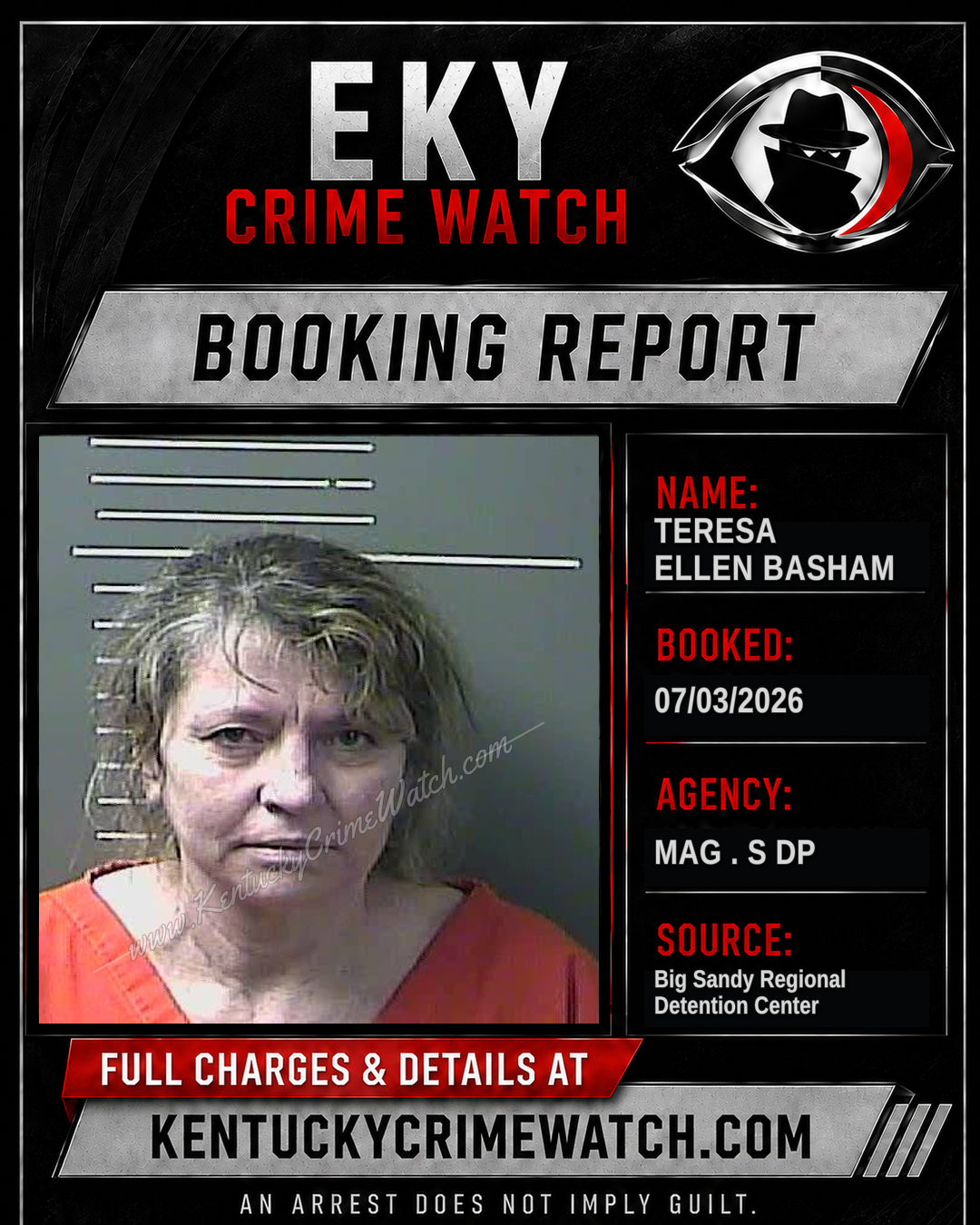 TERESA ELLEN BASHAM booking image