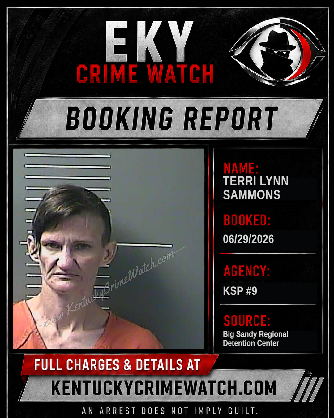 TERRI LYNN SAMMONS booking image
