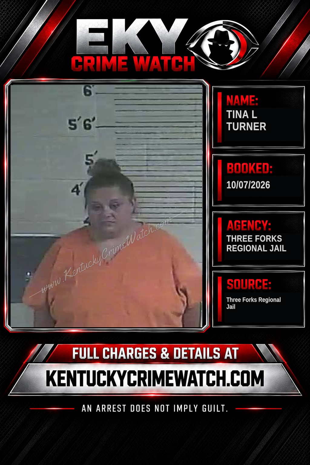 Tina L Turner booking image